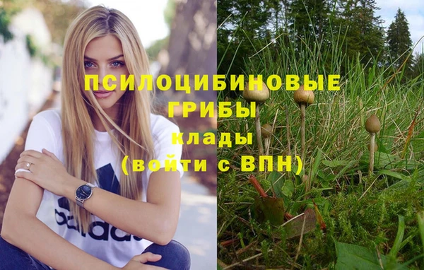 эйфоретик Мегион