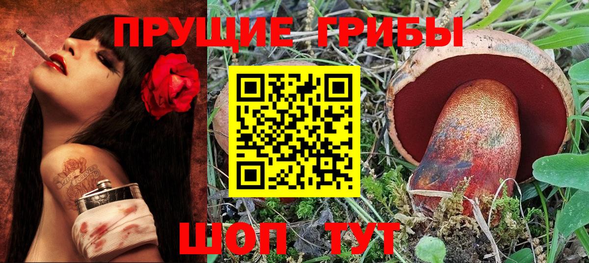 Псилоцибиновые грибы Psilocybine cubensis  Новокубанск 