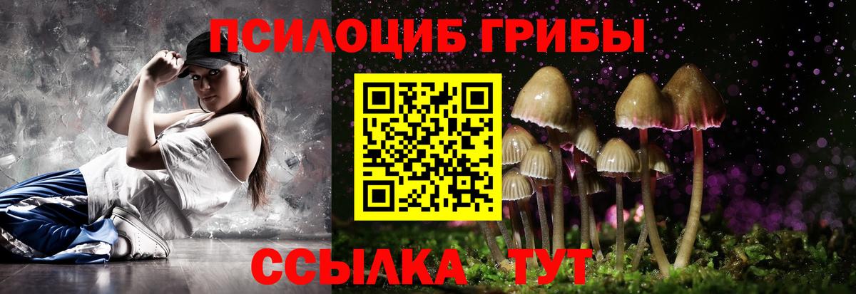 Галлюциногенные грибы прущие грибы Новокубанск