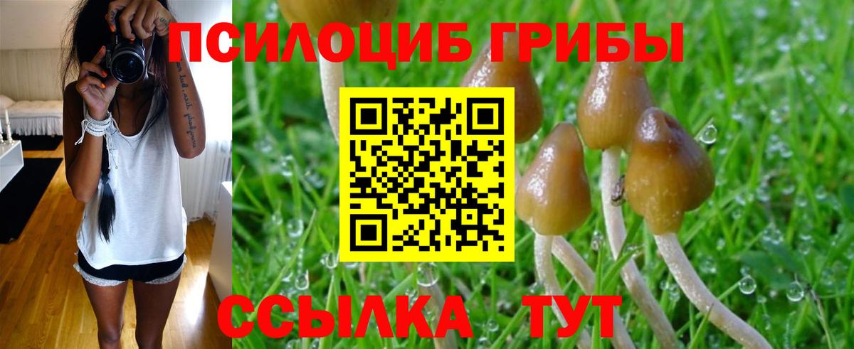 Новокубанск  Галлюциногенные грибы MAGIC MUSHROOMS  Вход с VPN  что такое наркотик  Псилоцибиновые грибы Psilocybe 